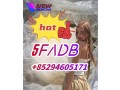 5fadb-125541-22-2-443998-65-0-79099-07-3-small-0