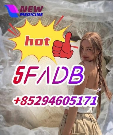 5fadb-125541-22-2-443998-65-0-79099-07-3-big-0