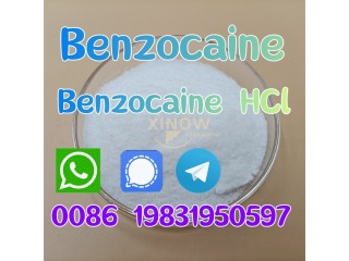 Benzocaine Powder Price CAS 94-09-7 Manufacturer Stock