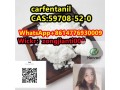 carfentanilcas59708-52-0-small-3