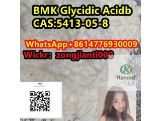 BMK Glycidic AcidbCAS:5413-05-8