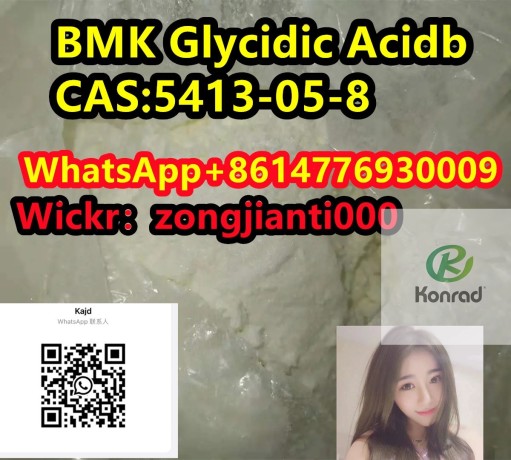 bmk-glycidic-acidbcas5413-05-8-big-1