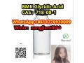 bmk-glycidic-acidcas718-08-1-small-3