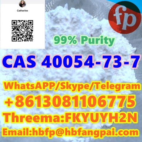 cas-40054-73-7-deschloroetizolam-big-0