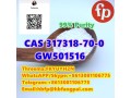 cas-317318-70-0-gw501516-small-0