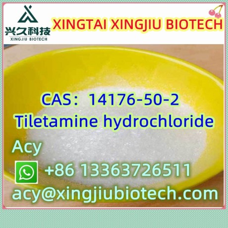 tiletamine-hydrochloride-cas14176-50-2-big-1