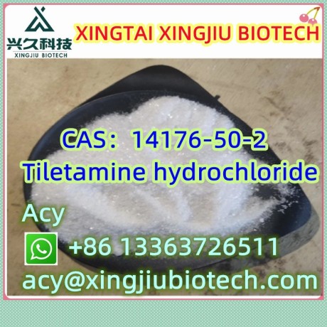 tiletamine-hydrochloride-cas14176-50-2-big-3