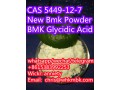 whatsapp-86-153-8399-2253-cas-5449-12-7-new-bmk-powder-bmk-glycidic-acid-small-3