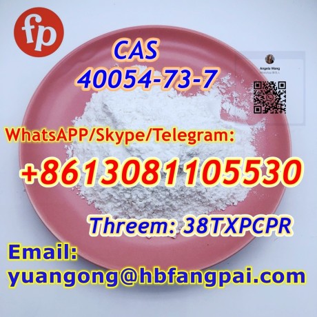 cas-40054-73-7-deschloroetizolam-big-0