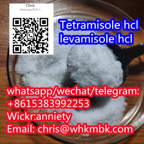 wickr-anniety-tetramisole-hcl-levamisole-big-1