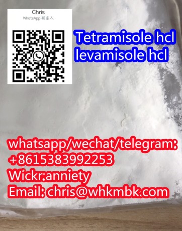 wickr-anniety-tetramisole-hcl-levamisole-big-2