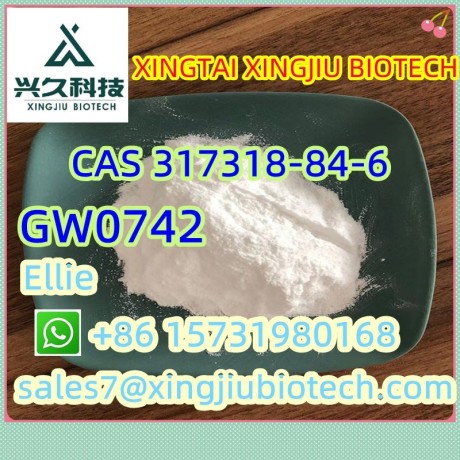 high-purity-cas-317318-84-6-gw0742-big-0