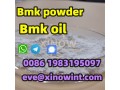 warehouse-delivered-cas-5449-12-7-bmk-powder-factory-small-2