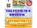 cas-317318-70-0-gw501516-small-0