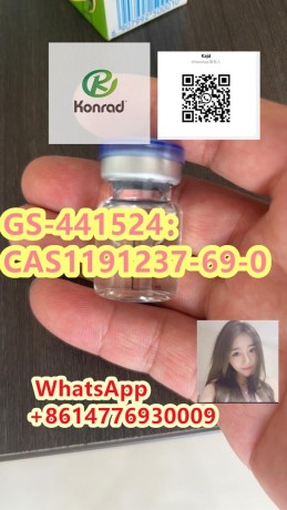 gs-441524cas1191237-69-0-big-2