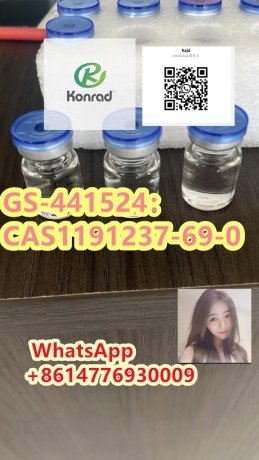 gs-441524cas1191237-69-0-big-3