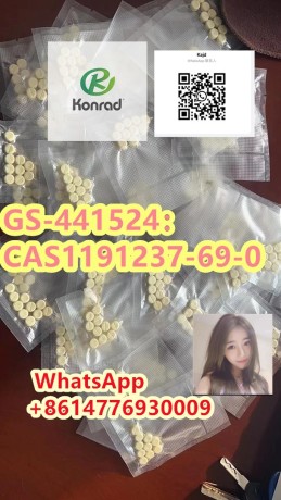 gs-441524cas1191237-69-0-big-1