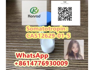 SomatotropinCAS12629-01-5