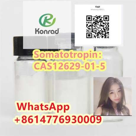 somatotropincas12629-01-5-big-1