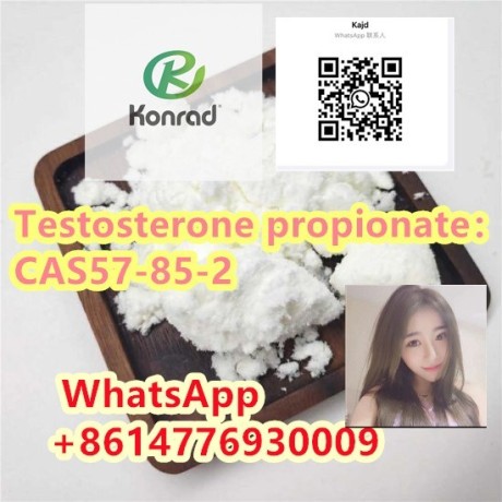 testosterone-propionatecas57-85-2-big-2