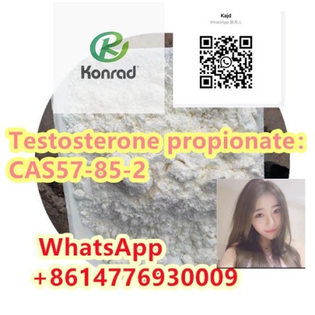 testosterone-propionatecas57-85-2-big-1