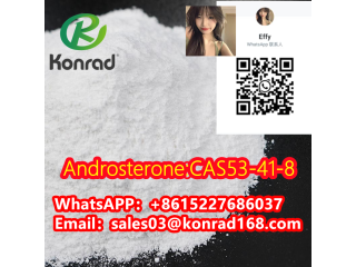 Androsterone:CAS53-41-8