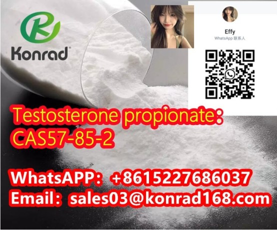 testosterone-propionatecas57-85-2-big-3