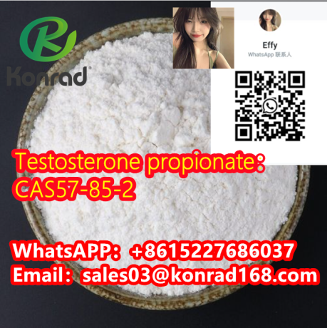 testosterone-propionatecas57-85-2-big-1