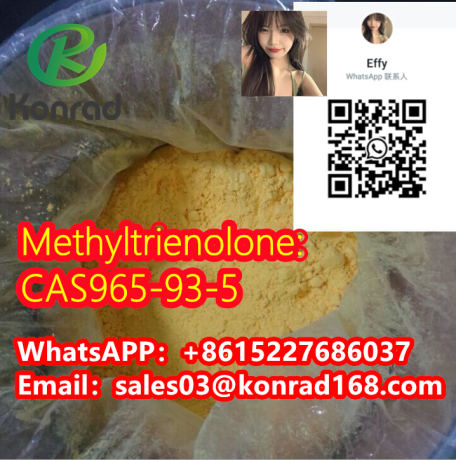 methyltrienolonecas965-93-5-big-2