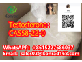 testosteronecas58-22-0-small-2