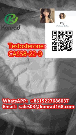 testosteronecas58-22-0-big-3