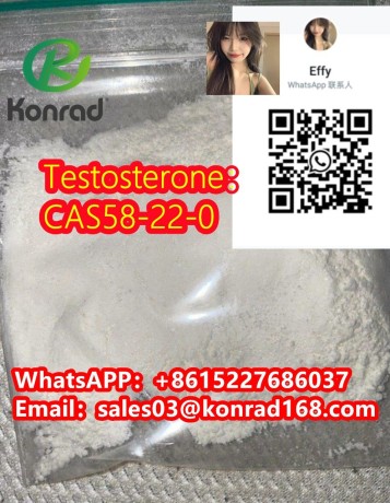 testosteronecas58-22-0-big-1