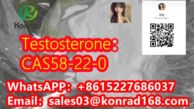 testosteronecas58-22-0-big-0