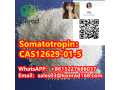 somatotropincas12629-01-5-small-0