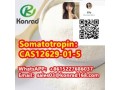 somatotropincas12629-01-5-small-2