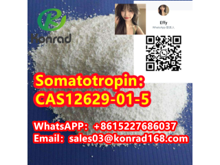 SomatotropinCAS12629-01-5