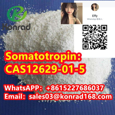 somatotropincas12629-01-5-big-0