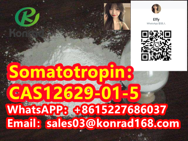 somatotropincas12629-01-5-big-1