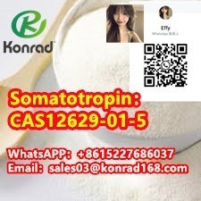 somatotropincas12629-01-5-big-2