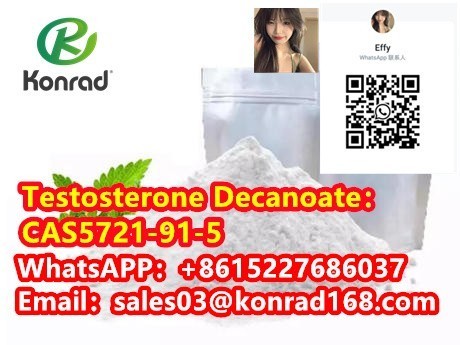 testosterone-decanoatecas5721-91-5-big-2