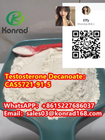 testosterone-decanoatecas5721-91-5-big-1