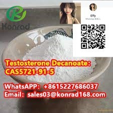 testosterone-decanoatecas5721-91-5-big-3