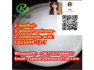 2-methyl-3-phenyl-oxirane-2-carboxylic acidCAS5449-12-7