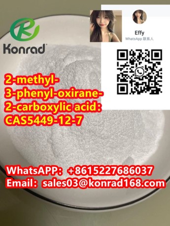 2-methyl-3-phenyl-oxirane-2-carboxylic-acidcas5449-12-7-big-3