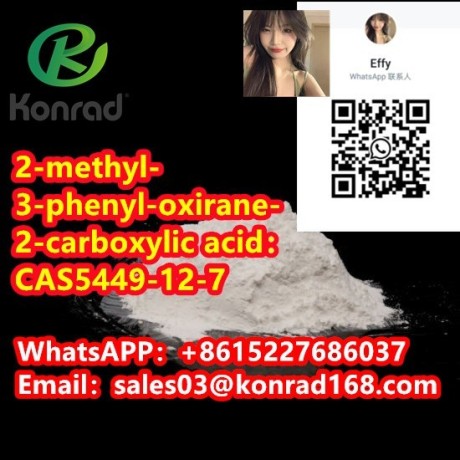 2-methyl-3-phenyl-oxirane-2-carboxylic-acidcas5449-12-7-big-2