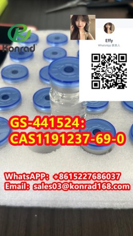 gs-441524cas1191237-69-0-big-1