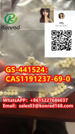 gs-441524cas1191237-69-0-big-3