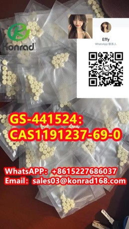 gs-441524cas1191237-69-0-big-0