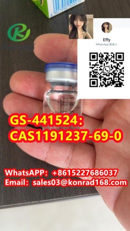 gs-441524cas1191237-69-0-big-2