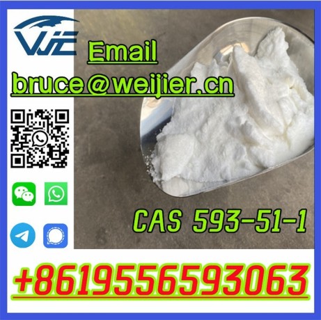 pharmaceutical-intermediate-factory-price-cas-593-51-1-methylamine-hydrochloride-big-0